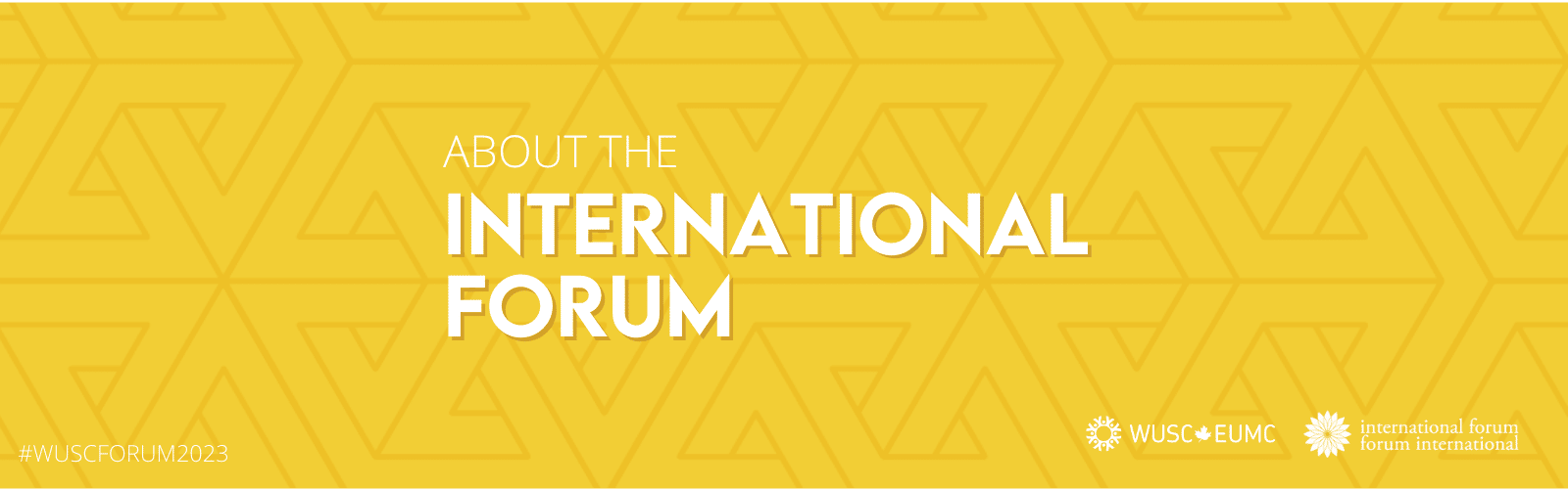About the International Forum